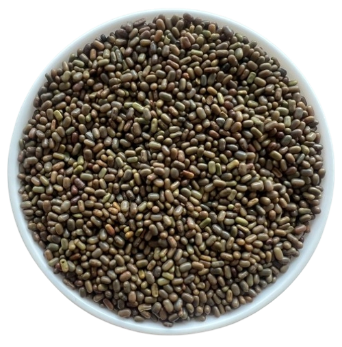 Sesbania Seeds export India