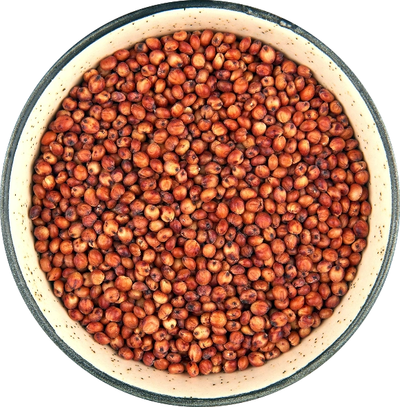 Sorghum Red export India