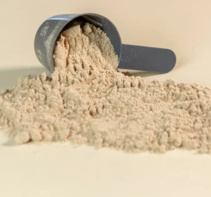 Defatted Soy Flour export India
