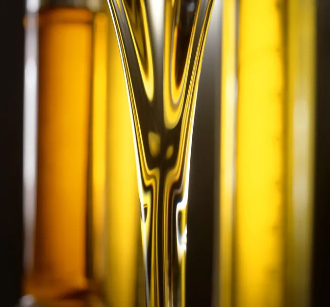 Soy Lecithin from India
