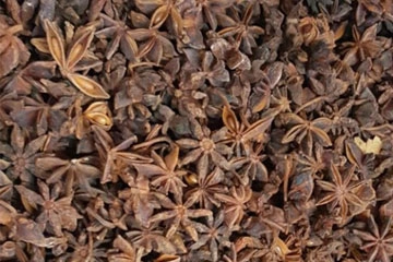 Star Anise export India