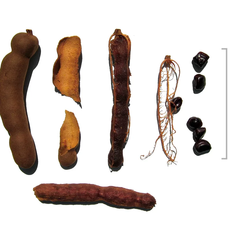 Tamarind - 3% Seeds export India