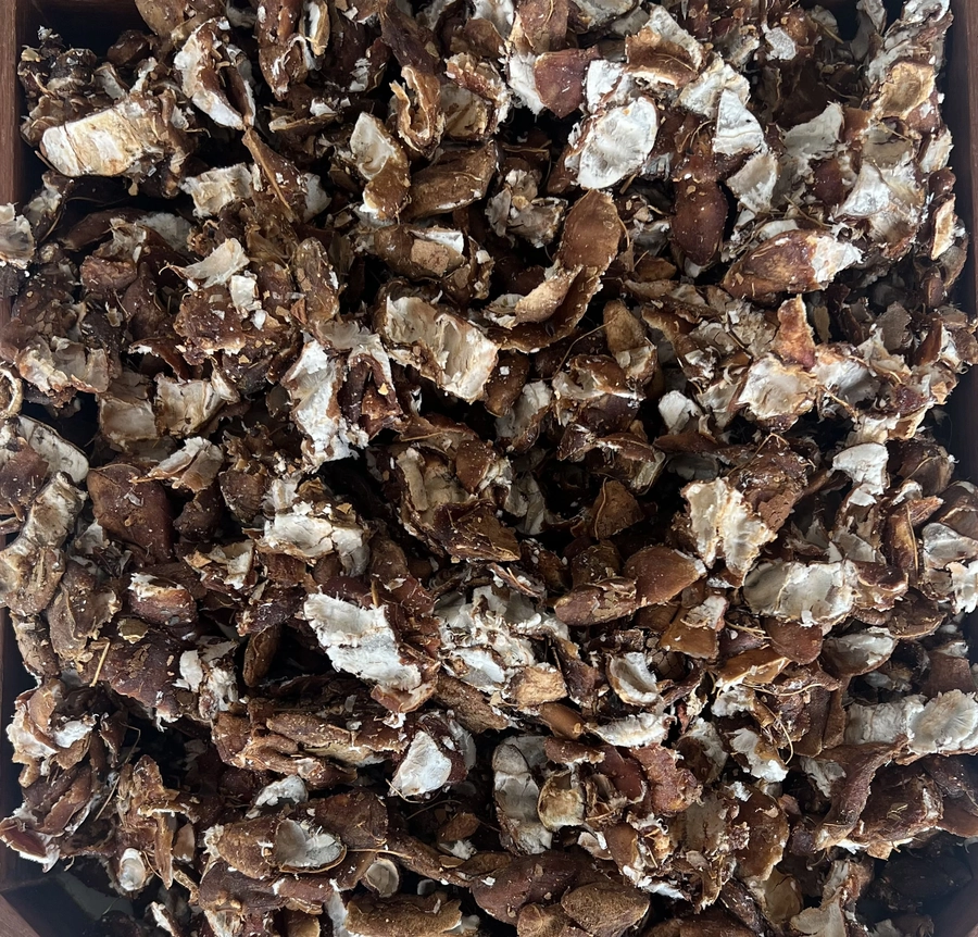 Tamarind - 35% Seeds export India