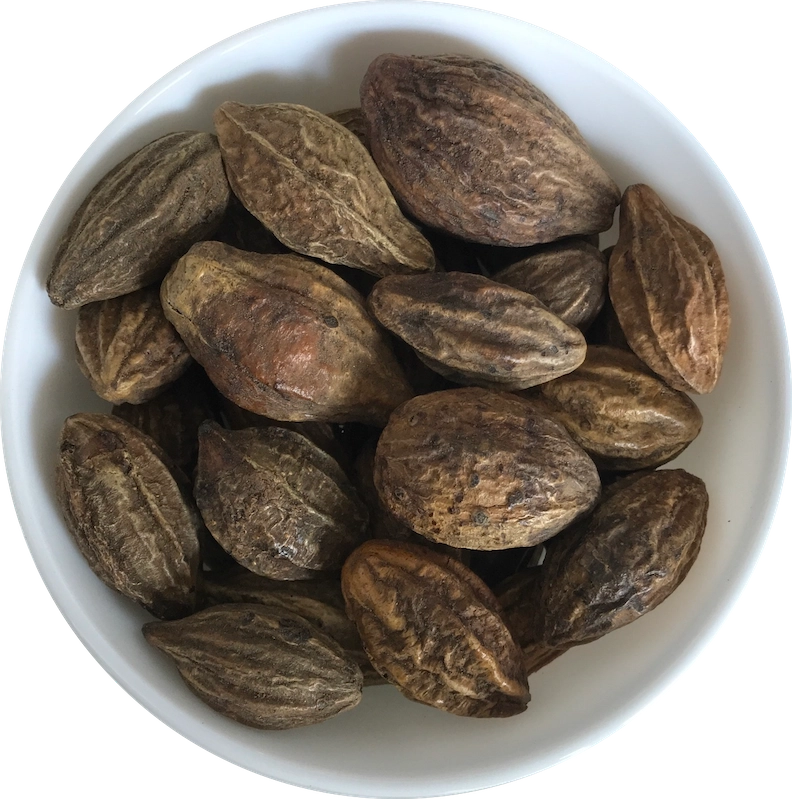 Terminalia Chebula (Harda) export India