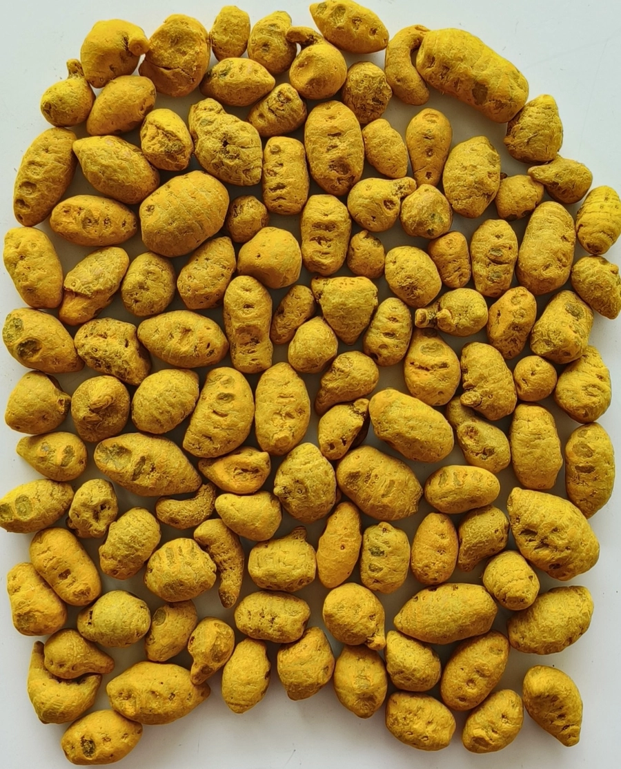 Turmeric Finger - Japan export India