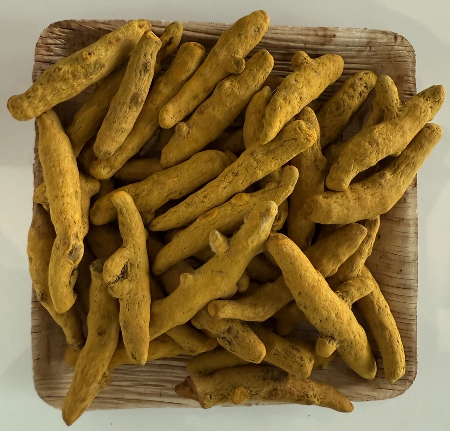 Indian Spices export from India - Radiance Overseas