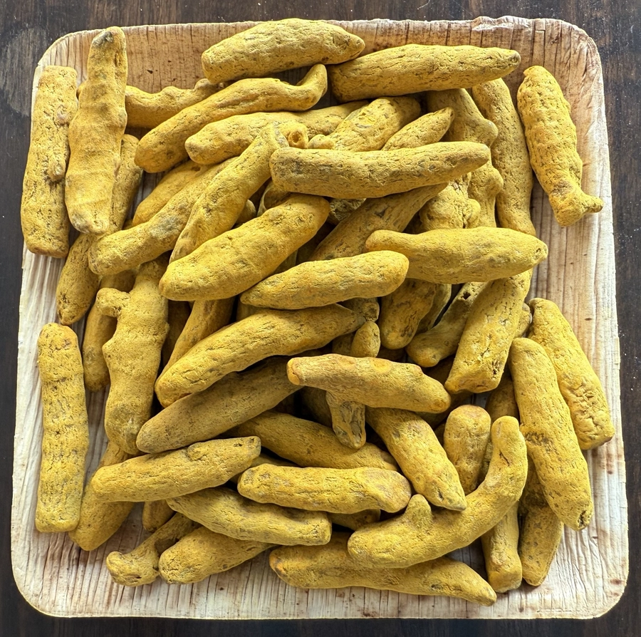 Turmeric Finger - Good Grade export India