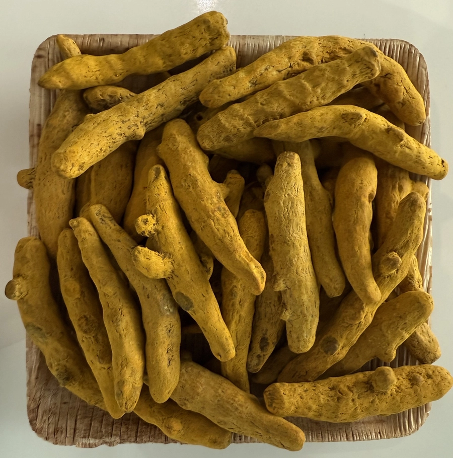 Turmeric Finger - Good Grade export India