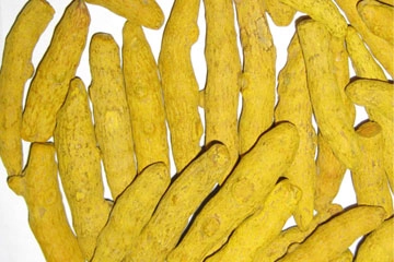 Turmeric Finger - Japan export India