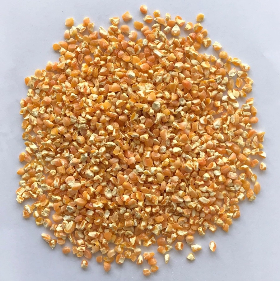 Yellow Corn Split export India