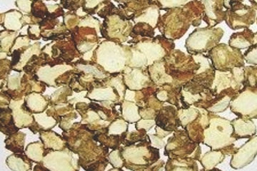 Zedoary Roots export India